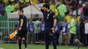 Fernando Diniz sobre a violência no Brasil-Argentina: «É lamentável»