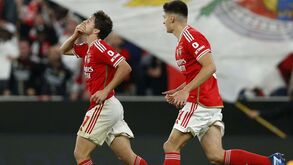 Estudo do Observatório do Futebol: Benfica é quem mais aposta na formação em Portugal esta época