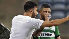 Tabata: «O míster Amorim é um gestor incrível»