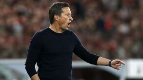Pedro Mil-Homens: «Roger Schmidt é sempre elogioso com a nossa formação»