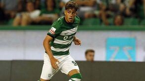 Os cinco miúdos de Amorim: saiba quem aponta à equipa principal do Sporting