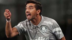 Abel Ferreira quer reforçar ataque do Palmeiras com ex-Benfica