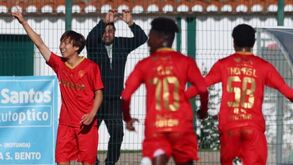A crónica do Serpa-Gil Vicente: desta vez o galo cantou mais baixo 