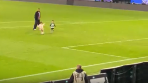 Os leões… do futuro: filhos de Nuno Santos, St. Juste e Matheus Reis deram ‘show’ no relvado de Alvalade