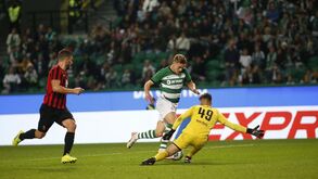 APCVD encaminha para o Ministério Público a agressão a funcionário do Sporting