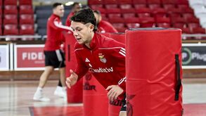 Afonso Jesus e objetivo do Benfica em repetir 'final four' da Champions: «Sabemos o clube que representamos»