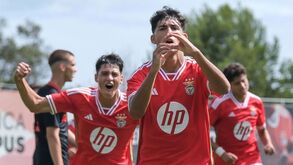 É o tudo por tudo do Benfica na Youth League