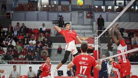 BENFICA VENCE 1.º ROUND NA LIGA DOS CAMPEÕES - Federação Portuguesa de  Voleibol