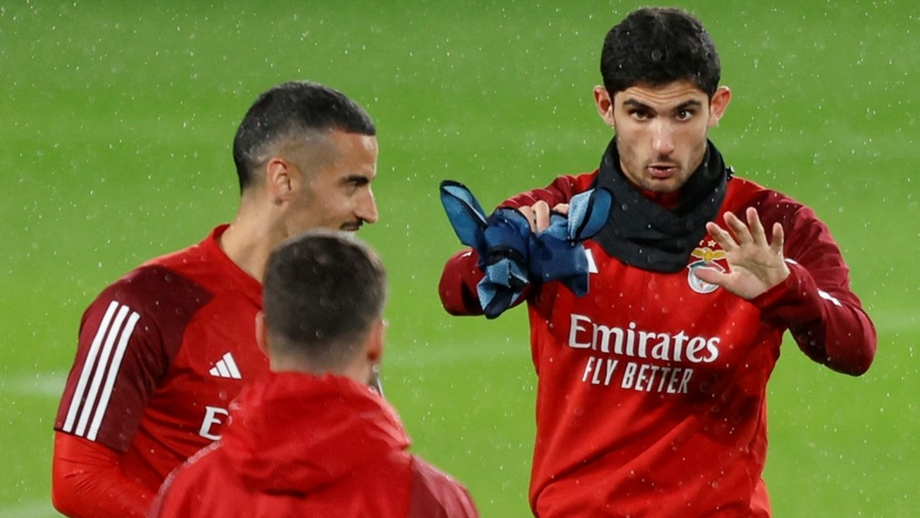 Roger Schmidt puxa por Gonçalo Guedes
