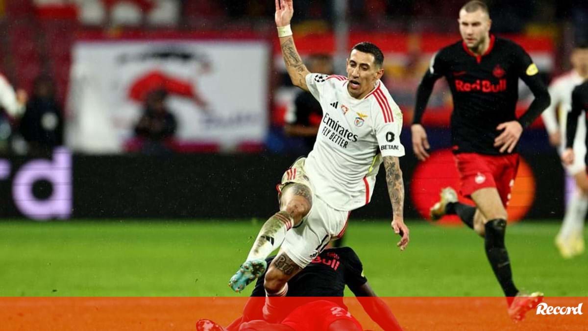 Futuro na Europa em jogo: o onze provável do Benfica para o jogo com o  Salzburgo - Fotogalerias - Jornal Record