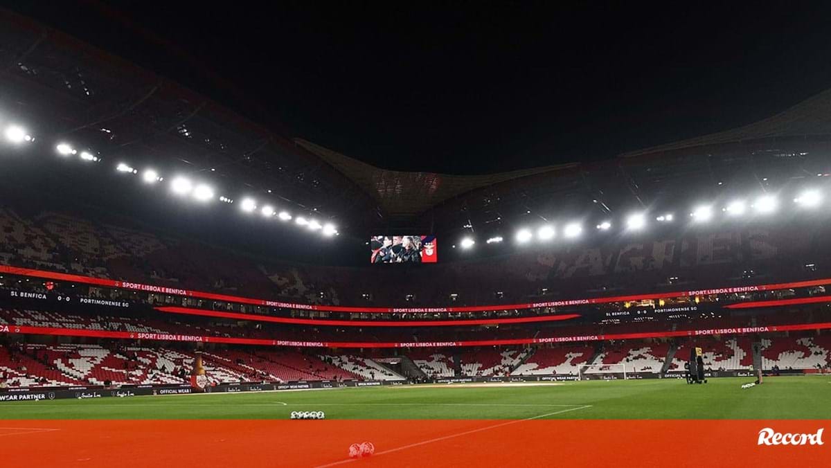 Benfica Fan Stabbed at Estádio da Luz: Manhunt for Attacker