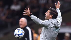 Scolari não tem dúvidas: «Abel Ferreira é o melhor treinador do Brasileirão»