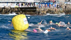 Taça do Mundo: Elite das águas abertas compete no Funchal