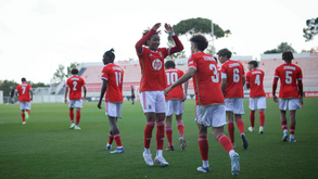 A crónica do Benfica-Ac. Viseu, 7-3: Vendaval encarnado