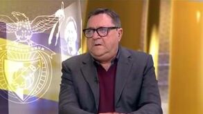 João Malheiro: «Indignação do Benfica com a arbitragem na Champions é mais do que justificável»