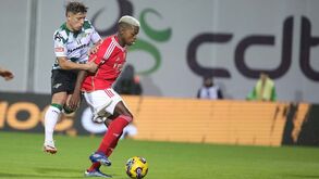Gonçalo Franco: «Conseguimos preparar-nos para os pontos fortes do Benfica»