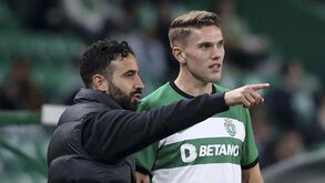 Torce e não quebra: Gyökeres será titular frente ao Gil Vicente