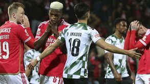 Gaspar Ramos pede 