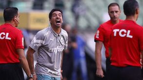 «Abel Ferreira consegue tirar o máximo dos jogadores e faz um trabalho mental incrível com a equipa»