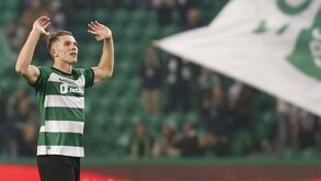 Gyökeres é novo Rei Leão com 10 pontos já assegurados ao Sporting... só na Liga