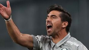 «Abel Ferreira é um treinador que luta pela equipa, tem garra e sangue na guelra»