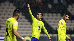 Dois leões com os lobos