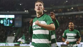 Eskilsson aconselha Gyökeres a desfrutar do Sporting mas avisa: «Claro que no futuro sairá»
