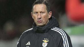 Schmidt: «Se virem como o Benfica estava quando chegámos e como está agora...»