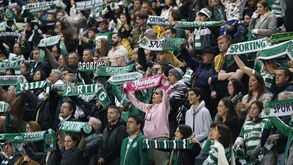 Onda Verde ruma a Guimarães: adeptos do Sporting esgotaram bilhetes em menos de 24 horas
