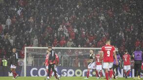 Adepto do Benfica foi detido e está sob a alçada do DIAP de Guimarães