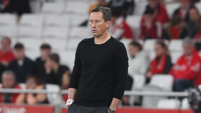 Roger Schmidt: «Temos estado muito bem nas últimas semanas»