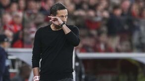 Schmidt admite sair do Benfica: «Se eu for o problema, darei espaço para que alguém faça melhor»