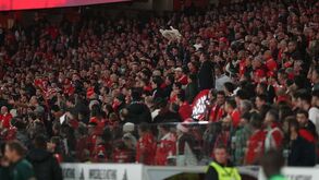Polícia travou adeptos do Benfica que invadiram a garagem da Luz