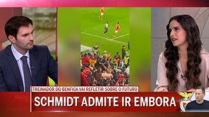 Rita Pedroso: «Não é por atirarem um copo ou água que Schmidt vai passar a fazer as alterações que os adeptos querem»