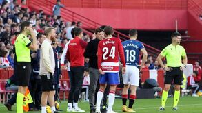 Adepto morre na bancada durante o Granada-Athletic Bilbao: jogo foi suspenso