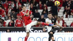 Di María projeta Salzburgo: «Na terça-feira só há um objetivo: vencer ou vencer»
