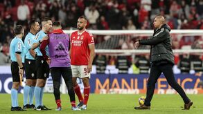 Luisão: «Comigo é pouca conversa... Sei o grupo que temos e ponto final!»