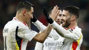 Schmidt: «Há muitos adeptos felizes com esta equipa e com a forma como jogamos»