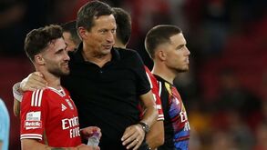 Roger Schmidt: «Rafa está em boa forma, vai ter imensas oportunidades durante os jogos»