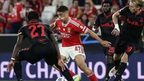 João Tralhão e o papel de Tiago Gouveia no Benfica: «É útil pelo talento e pela polivalência»