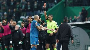 Conceição e o castigo a Pepe: «Há formas de escrever o que se vê, eu posso pintar a manta de uma forma...»