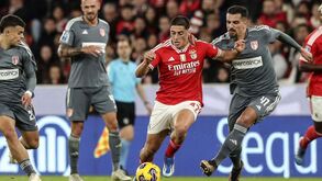 Benfica-AVS SAD: Tiago Gouveia aumenta a vantagem com um 'chapéu' após tremendo passe de Kökçü