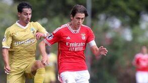 Centrais made in Benfica Campus: quem são as novas promessas? 