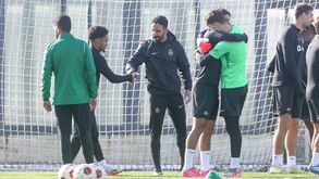 Os segredos do Natal leonino: Dos cuidados à reunião entre um trio com mensagem de St. Juste
