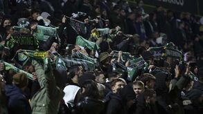 Onda Verde chega até Portimão: Sporting coloca bilhetes à venda mas são apenas para sócios