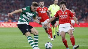 Transfermarkt atualiza valores de mercado: Gyökeres e Neves 'apanham' António Silva e Diogo Costa no topo
