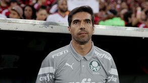 Veron junta-se ao 'bando dos espiões': Segredos de Abel Ferreira andam espalhados por todo o Brasileirão