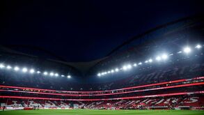 Adepto do Benfica suspeito de esfaqueamento na Luz proibido de entrar em estádios