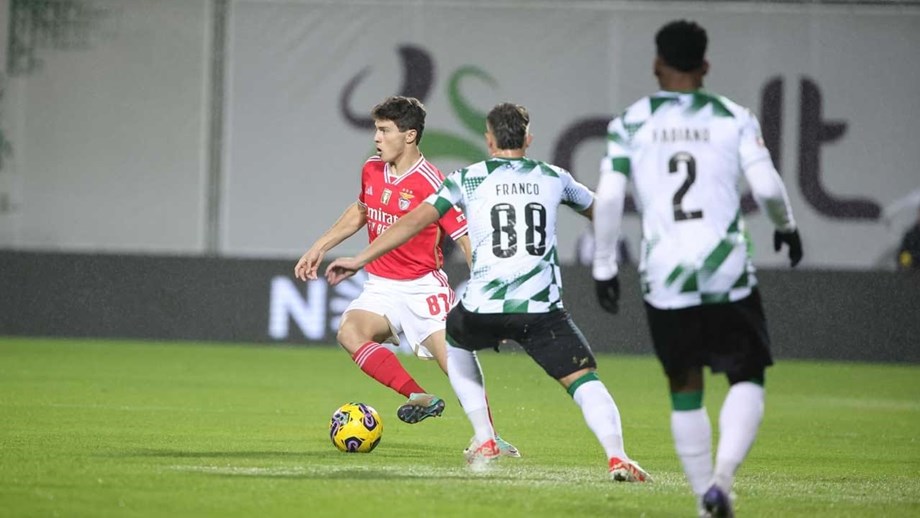 Benfica tenta subir no terreno após primeiros minutos 'diabólicos' do Moreirense