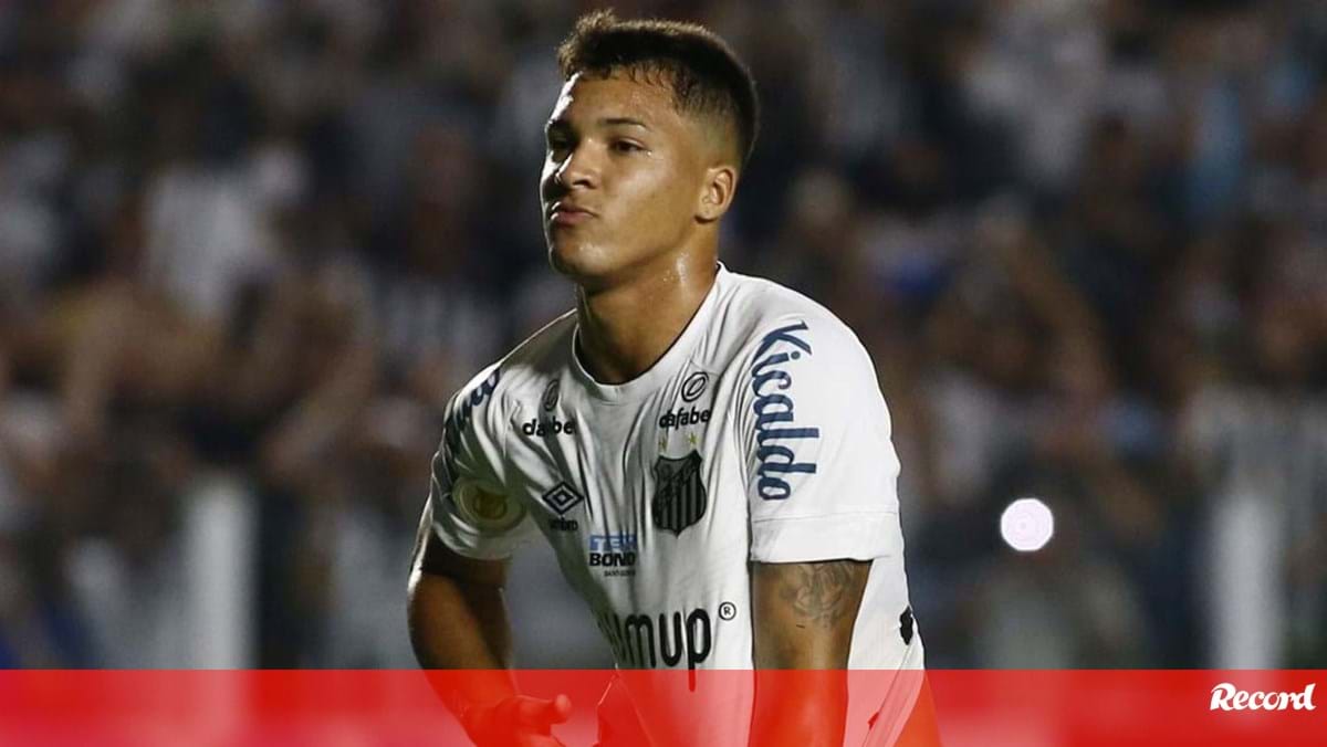 Ramon Menezes sossega os adeptos do Benfica: «Marcos Leonardo vai adaptar-se rapidamente»